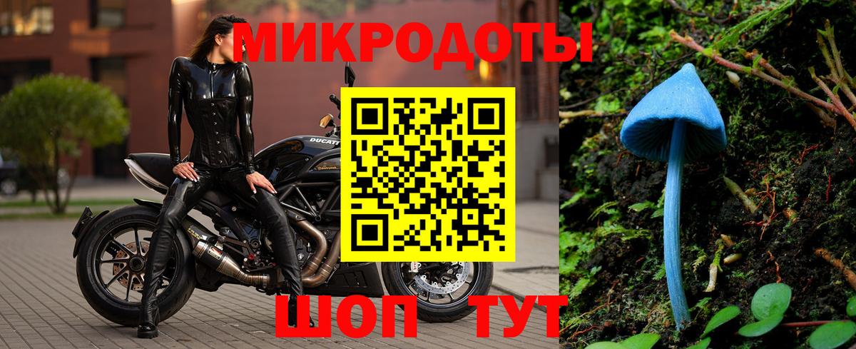Балашов  Галлюциногенные грибы прущие грибы  Вход с VPN 